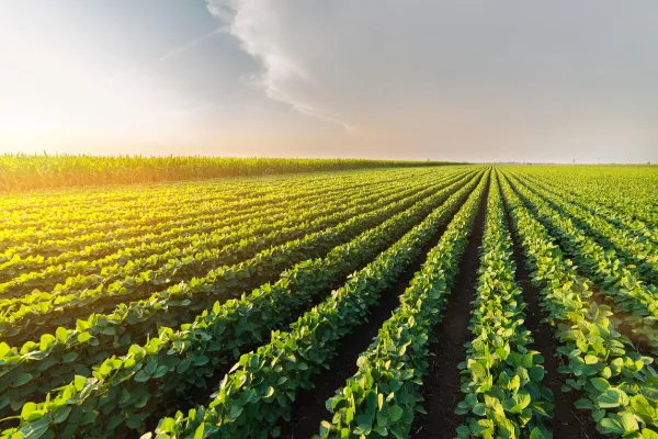 Farm irrigation equipment in field