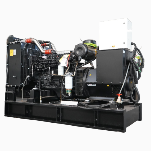 Fuel Types for Electric Generators