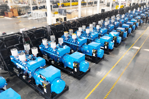 Natural gas generator set