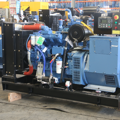 The Cross-Border Reality: Warranties on Imported Generators